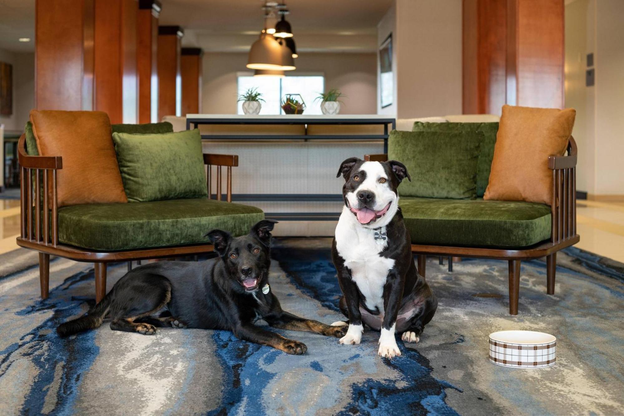 Fairfield Inn & Suites Redding Dış mekan fotoğraf